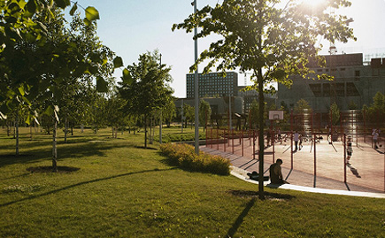 Plant care main image